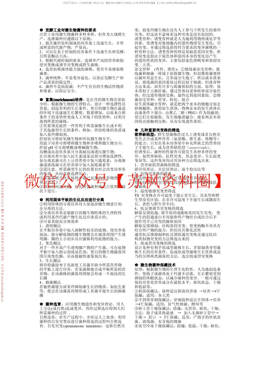 发酵工程